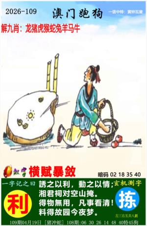 新跑狗图资料封面